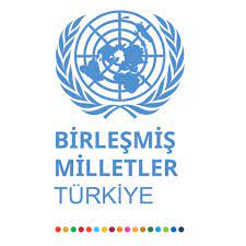 Birleşmiş Milletler Türkiye